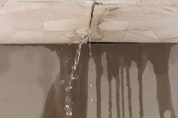 Professional Water Damage Repair technician working in Solon, ME